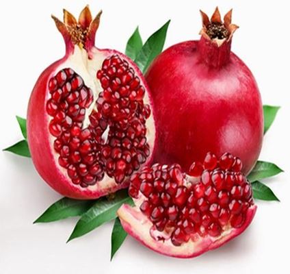 ヤルダーを象徴する果物 ザクロ