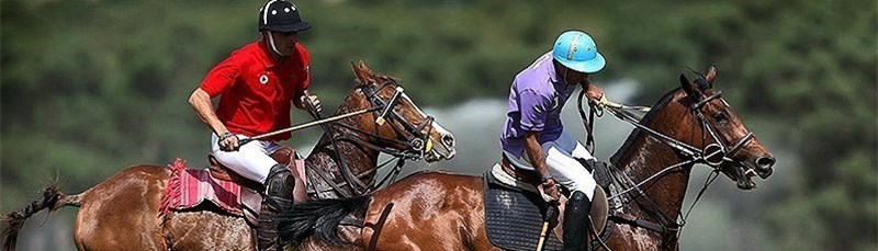 ハムゼ・イルハニザデフとイランのポロにおける彼の役割